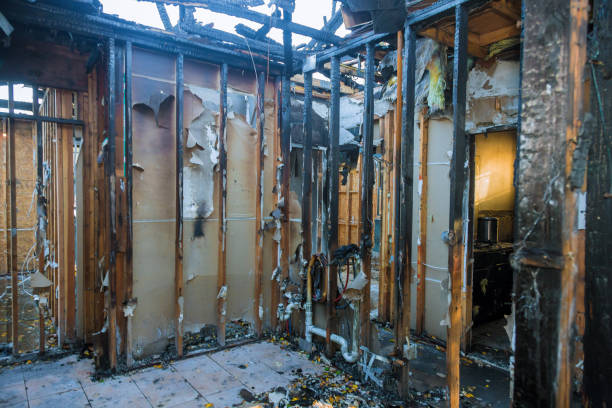 Professional Smoke Damage Removal technician working in Bernie, MO